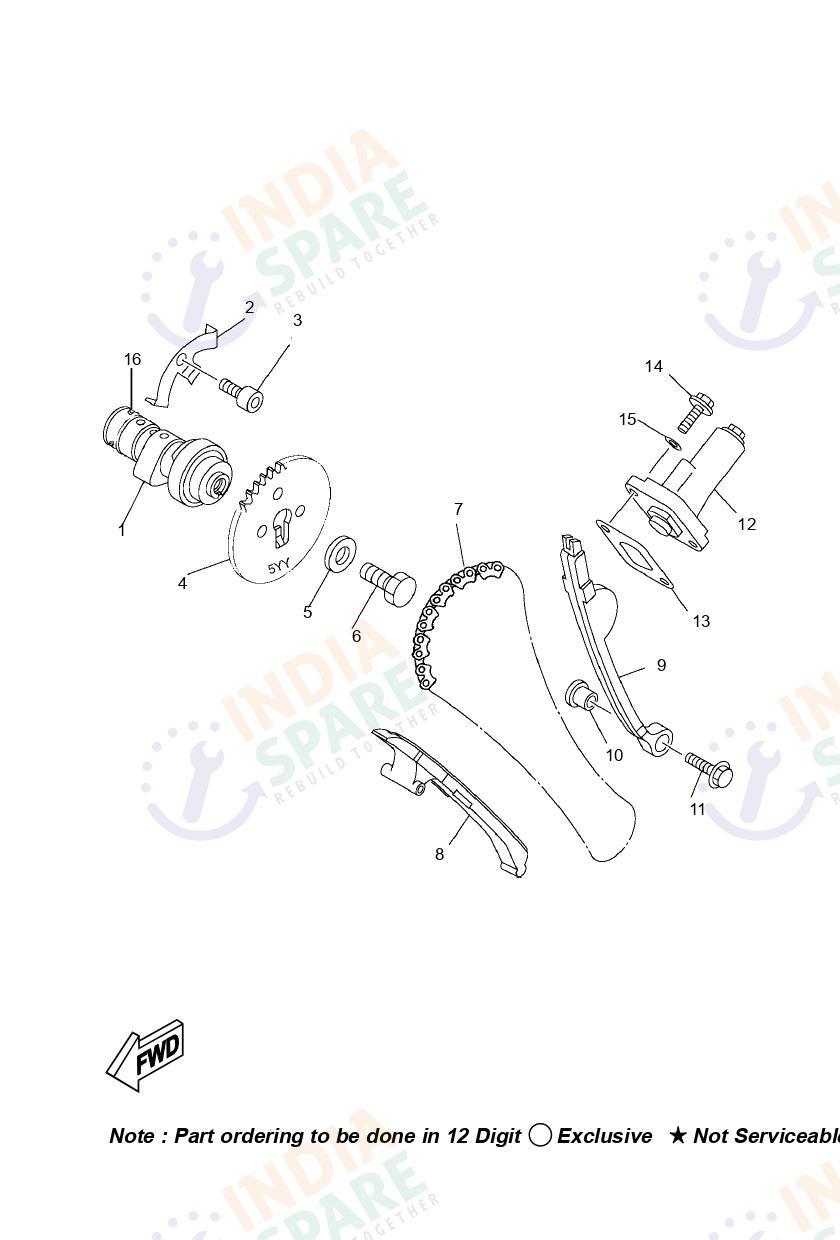 CAMSHAFT & CHAIN